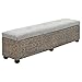 vidaXL Banc Jacinthe d'eau Tissu Gris Banquette Stockage Bois de Peuplier