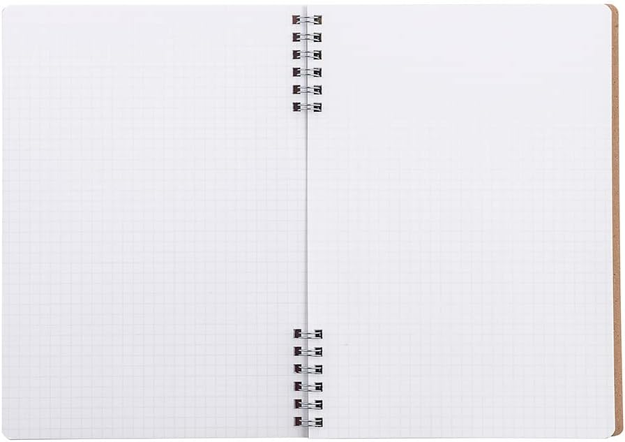 Nakabayashi NW-A522Y Disney Swing Logical W-Ring Notebook, A5, 0.2 inch (5 mm) Grid Ruled, 50 Sheets, Pooh & Piglet