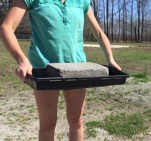 Bootstrap Farmer 200 Cell w/ 1020 Flat Seedling Starter Trays Extra Strength 5 Pack Combo - Seed Planting Insert Plug Tray, Soil & Hydroponics Plant Growing Plugs - Image 3