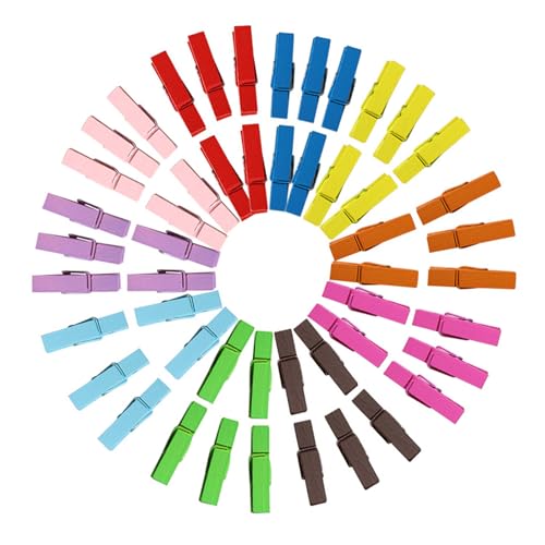 100 個の滑らかなフロント洗濯バサミ複数のトーンマルチカラー洋服ペグぶら下げ写真服ホームオフィスプロジェクト用の収納クリップ
