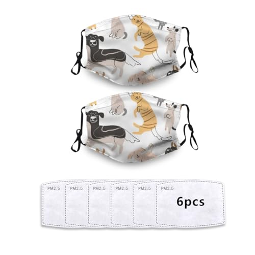 [RFSHOP]   Ck  z}XN }XN 2Zbg ܂  z}XN Ђ߉\ 􂦂 JԂ  t@bV X|[c Ck ʕ ybg ybg