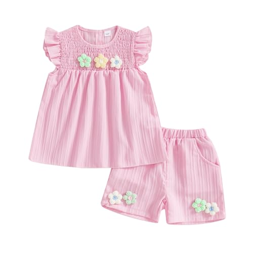 LYSINK Toddler Baby Girl Summer 2 Piece Outfits Cute 3D Flower Embroidery Ruffle Smocked Tops and Elastic Waist Shorts Sets (02Pink, 9-12 Months)