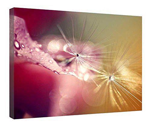 Impression sur toile macro art bois pour une ambiance zen chez soi