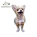 FAFPAY Autocollant de Voiture 13 cm x 7 cm 3D Chien Voiture Autocollants excité Chihuahua Autocollants pour Mur réfrigérateur Toilette Chihuahua Chien déchiré déchiré décalcomanie