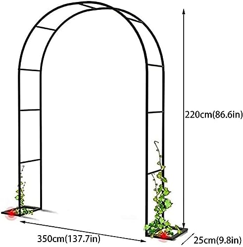 Cadre d'escalade pour plantes grand format contre le vis-à-vis - 8