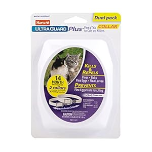 Hartz UltraGuard Plus Flea & Tick Collar for Cats and Kittens, 7 Month Flea and Tick Prevention and Protection, White, 2 Count