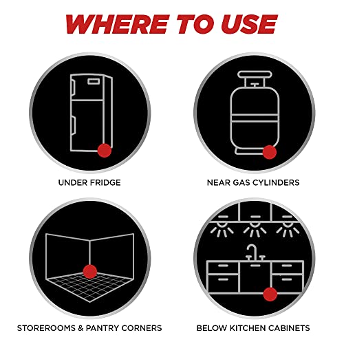 Mortein Power Gard Rat Kill Cake, 100 g Kills Rats Outdoors in one Feed Effective Against All Types of Rats