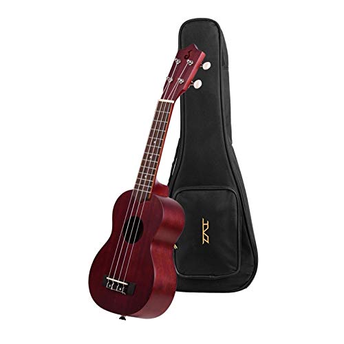 21C`̃AR[XeBbN\vmENoE{̂̑܃`[i[XgbvtĂtBK[{[hubWsbNN[jONX yʂŃ|[^u (Color : Red)