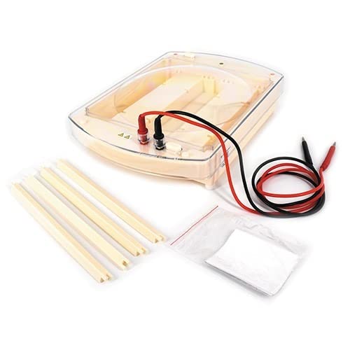 Instrument d'électrophorèse pour séparation des protéines sur membrane d'acétate
