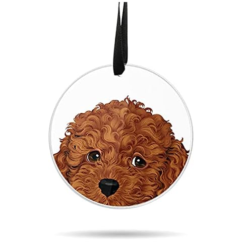 WIRESTER Hanging Ornaments for Christmas Tree Holidays, Party, Car, Home, Office Decoration, Large 3 inch Acrylic Ready to Hang Ornament - Brown Toy Poodle Puppy Dog Cover