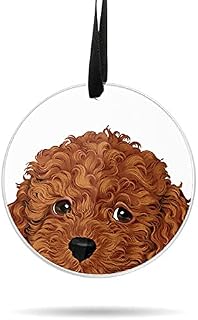 WIRESTER Hanging Ornaments for Christmas Tree Holidays, Party, Car, Home, Office Decoration, Large 3 inch Acrylic Ready to Hang Ornament - Brown Toy Poodle Puppy Dog