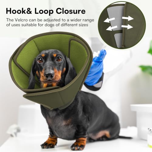 Image of Queenmore XL Dog Cone, Comfy Cone for Dogs to Stop Licking After Surgery | Reversible Elizabethan Collar for Dogs with 3-Panel Foldable Design, Breathable Pet Cones for Wound Healing, Dark Green,XL