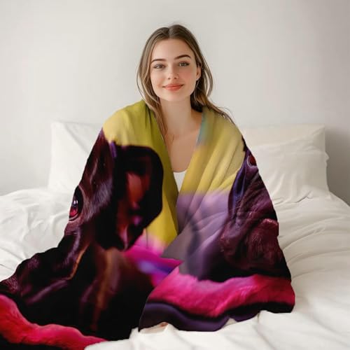 Flanell Kuscheldecke 130x170 cm Französische Bulldogge Decke Flauschig Hund Wohndecken Fleecedecken Weiche Warme Decken für Sofa, Couch und Bett A-0275