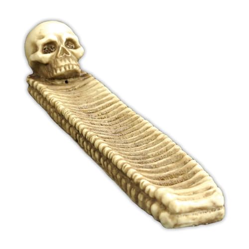 hN   XJ [ KCRc   CZXz_[ SKULL  hNObY  F M hN^  CeA Vbv X  bNX Mtg v[g (A)