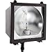 RAB Lighting EZHH175QT HID FLOODS