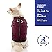 Gooby Fashion Vest Dog Jacket - Purple, Large - Warm Zip Up Dog Bomber Vest with Dual D Ring Leash - Winter Water Resistant Small Dog Sweater - Dog Clothes for Small Dogs Boy or Medium Dogs