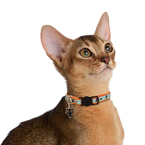 Image of 2 Pack Glow in The Dark Cat Collar with Bell Breakaway Safety Cat Puppy Collars with Pendant Orange and Blue