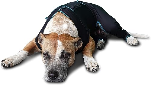 Image of BENEFAB Therapeutic Comfort Suit for Dogs - Lightweight Far-Infrared Jacket for Canines of All Ages - Relaxing FIR Compression Suit Soothes Muscles, Joints, and Pain (Small)