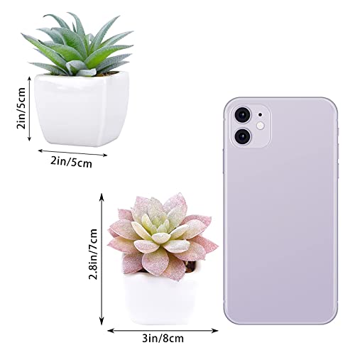 Funarty Artificial Succulent Plants In Pots, Fake Succulent Small Potted Faux Succulent Plants, Mini Fake Plants In White Ceramic Pots Set Of 5, Desk Plant For Home Bathroom Small Spaces Decoration #TOP1