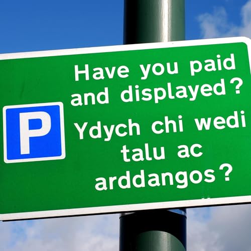 Where Duolingo falls down: how I learned to speak Welsh with my mother