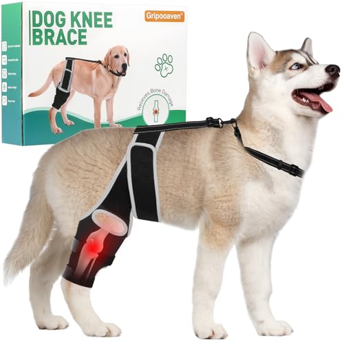 Image of Dog Knee Brace for Torn ACL Hind Leg Support, Adjustable Dog Leg Braces for Back Leg, Cruciate Ligament Injury and Luxating Patella Recovery, Hip Brace for Dogs, Universal for All 4 Legs, L