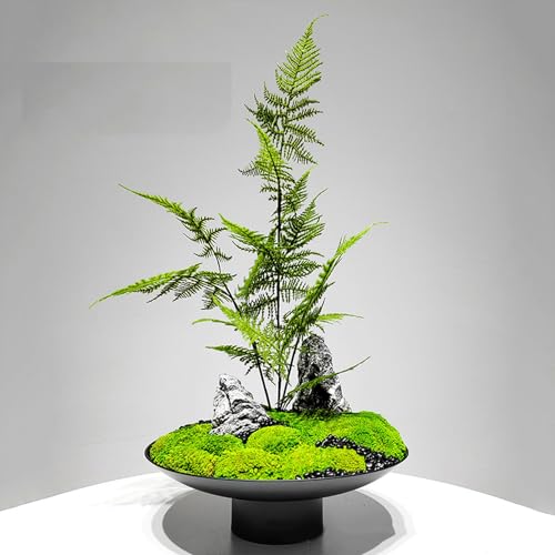 HGJH ԃAW CeA ԕrttFCNO[ lHA  J[23 tFCNt[ rO  X ItBX g قɋ  JXj a_ V F ԕr} lHϗtA Mtg