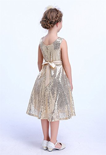 Bow Dream Lovely Lace V-Neck Sleeveless Flower Girl Dress3