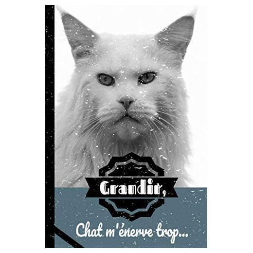 Grandir, chat m'énerve trop: Carnet de notes : Chat | Maine Coon | 6x9 pouces A5 100 pages | Carnet de notes avec lignes | Notebook | Journal | Idée cadeau | Cahier bloc-notes | Original
