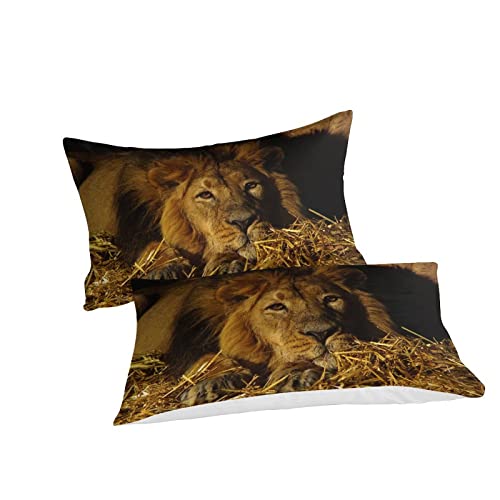 Ensemble de housse de couette lion 3D pour transformer une chambre d'ado