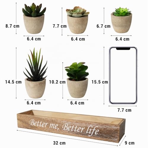 Succulentes Artificielles Cadeau Déco Original avec Plateau - 4