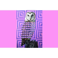 MightySkins Midnight Dragon Skin For Google Pixelbook - Protective Vinyl Decal Wrap, Easy To Apply, Matte Finish, Made In USA