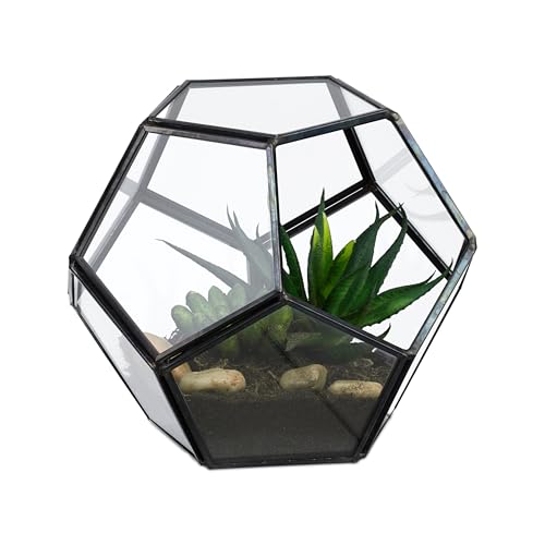 Relaxdays Pflanzenterrarium, Glas & Zinn, Deko Glashaus für Kakteen & Moos, offener Glaskasten für Fensterbank, schwarz Relaxdays Pflanzenterrarium, Glas & Zinn, Deko Glashaus für Kakteen & Moos, offener Glaskasten für Fensterbank, schwarz