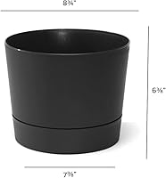 Vista 5 de Root & Vessel Majestic Mid-Century - Maceta cilíndrica moderna de perfil bajo, negro mate, 8.5 pulgadas