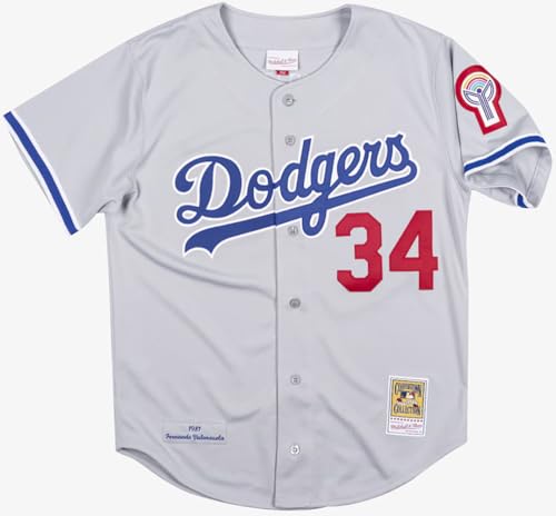 Mitchell & Ness Mens Los Angeles Dodgers MLB Grey Jersey 1981 Fernando Valenzuela (US Alpha Large Regular Regular Gray)