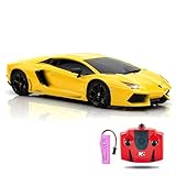 QUN FENG Official Licensed Lamo LP-700 1:18 Scale Remote Control Car for Kids 8-12 Years, RC Car with Rechargeable Battery 3.7V 500mAh, 2.4GHz Matte Yellow