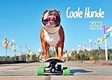 Edition Seidel Coole Hunde Premium Kalender 2023 DIN A3 Wandkalender Hundekalender lustige Sprüche Motivation