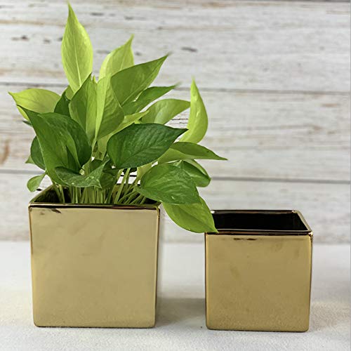 Wgv Ceramic Cube Vase Width 5.5" Height 5" (Fits 5" Pot) Elegant Modern Block Square Floral Planter Terrarium Container Table Dresser For Event Accent Home Office Decor Gold 1 Piece #TOP5