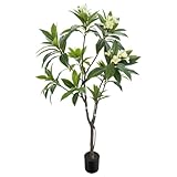 Alonfale 6FT Artificial Plumeria Tree with Concrete Base - Removable Black Pot, Realistic Yellow White Flowers Indoor Outdoor Decor（1pack,6FT）