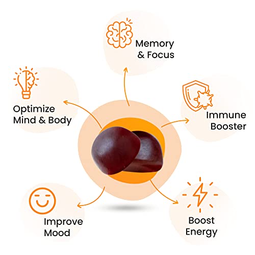 Native Joy® Mushroom Mind - Functional Mushroom Gummy - Lions Mane, Cordyceps and Reishi - Immune System Booster & Nootropic Brain Supplement - Natural Energy, Focus Gummies - Image 3