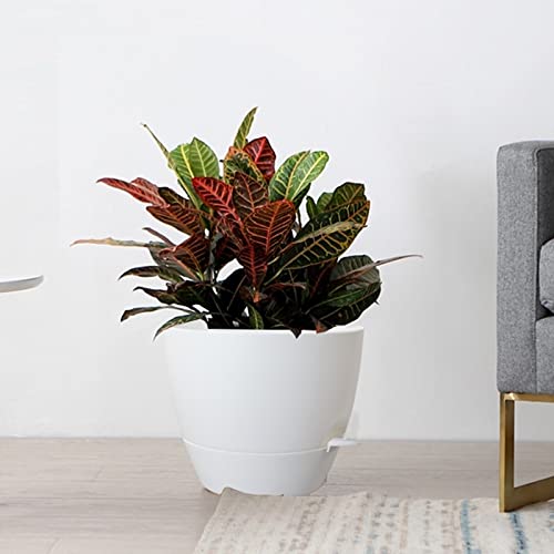 Uouz 10/9/8 Inch Self Watering Pots, Set Of 3 Plastic Planters With Mesh Drainage Holes And Deep Reservoir For Indoor Outdoor Garden Plants And Flowers, White #TOP6