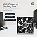 Coolerguys Single USB Fan for PlayStation, Xbox, Receivers, Roku (80mm)