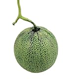 Violiica Fruta artificial de imitación de melón Hami, decoración del hogar, cocina, decoración