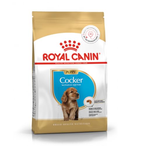 Image of Royal Canin Cocker Puppy, Dry Food, 3 kg