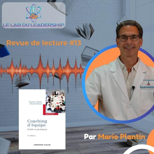 Revue de lecture #13 : Au-del&agrave; du team building, les 3 niveaux de votre &eacute;quipe