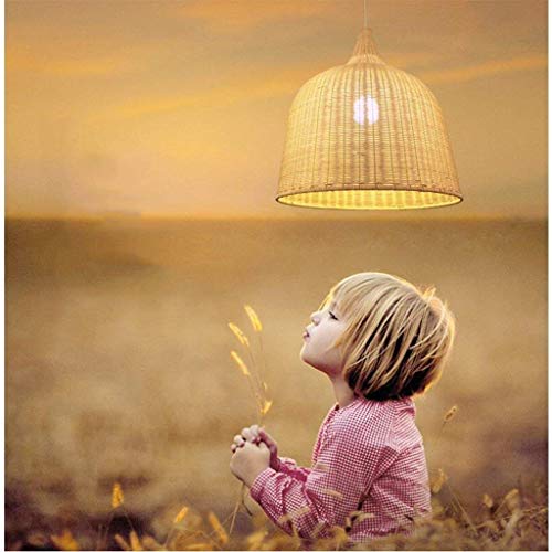 IN Gyy Home Hotel Lighting Lámparas exquisitas, sudeste asiático Rattan Weaving Art Chandelier Hot-Style Estilo Pastoral Restaurante Balcony Ceiling Light E27