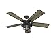 Hunter Fan 54in Weathered Zinc Outdoor Ceiling Fan with a Clear Glass LED Light Kit and Remote Control, 5 Blade (Renewed)