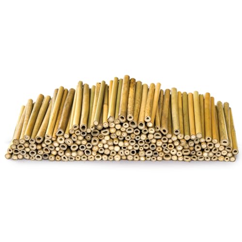 Frcctre 200 Pack 5 Inch Natural Bamboo Craft Sticks - Thumbnail 3