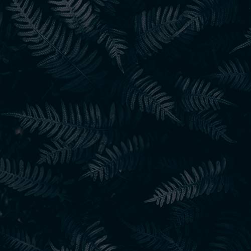 Music for Yoga by Lluvia on Amazon Music Amazon.co.uk