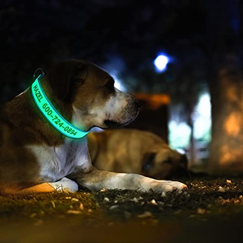 Personalisiertes Hundehalsband, reflektierendes Nylon-Halsband mit individuell bedrucktem Namensschild, verstellbare Größen für kleine, mittelgroße und große Hunde (Grow in the Dark)