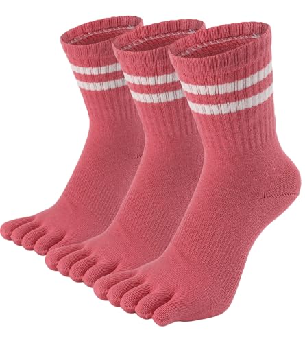 [WIOIW] 5{w\bNX fB[X ܖ{wC X|[c\bNX p  jO ʋ ʊw v 3